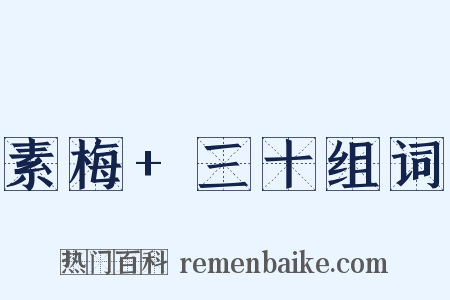 素梅+三十组词是什么意思的图片